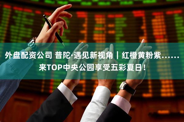外盘配资公司 普陀·遇见新视角｜红橙黄粉紫……来TOP中央公园享受五彩夏日！