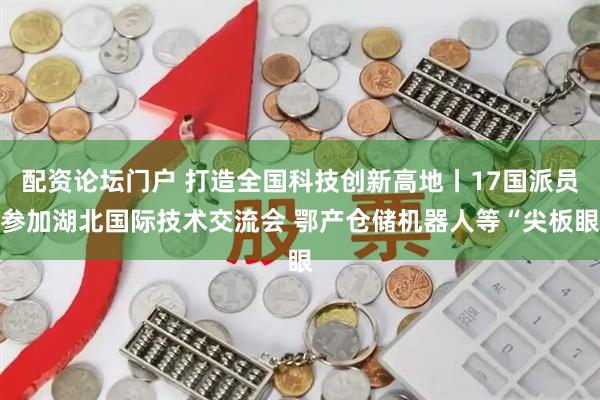配资论坛门户 打造全国科技创新高地丨17国派员参加湖北国际技术交流会 鄂产仓储机器人等“尖板眼